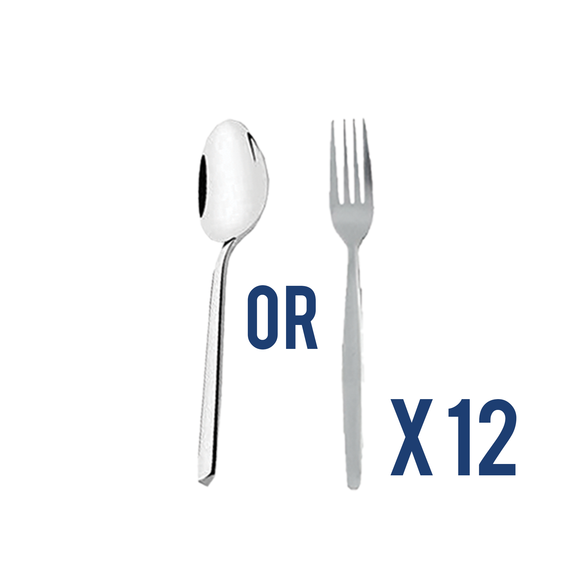 12 pcs fork or spoon set