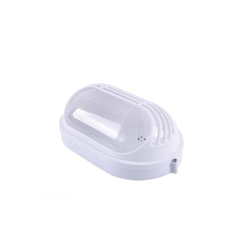 OVAL WALL GLOBE 25Cm