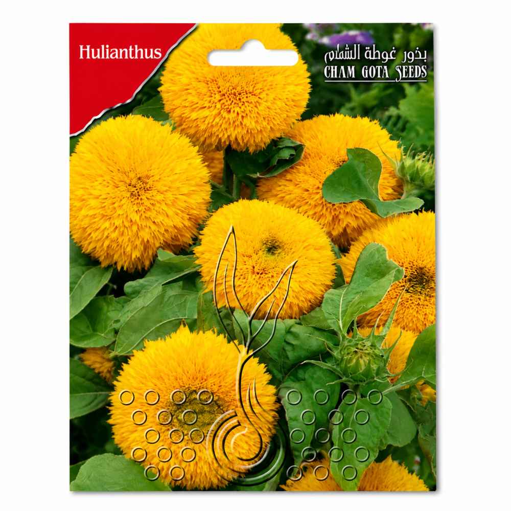 SUNFLOWER FLOWER SEEDS
