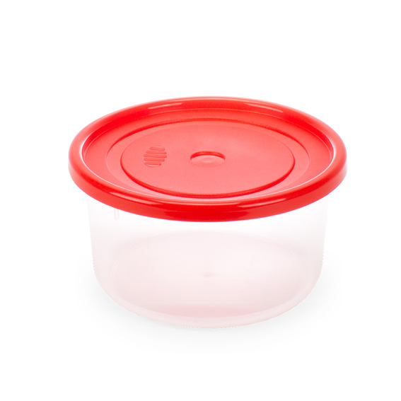 PLASTIC FOOD BOX WITH LID