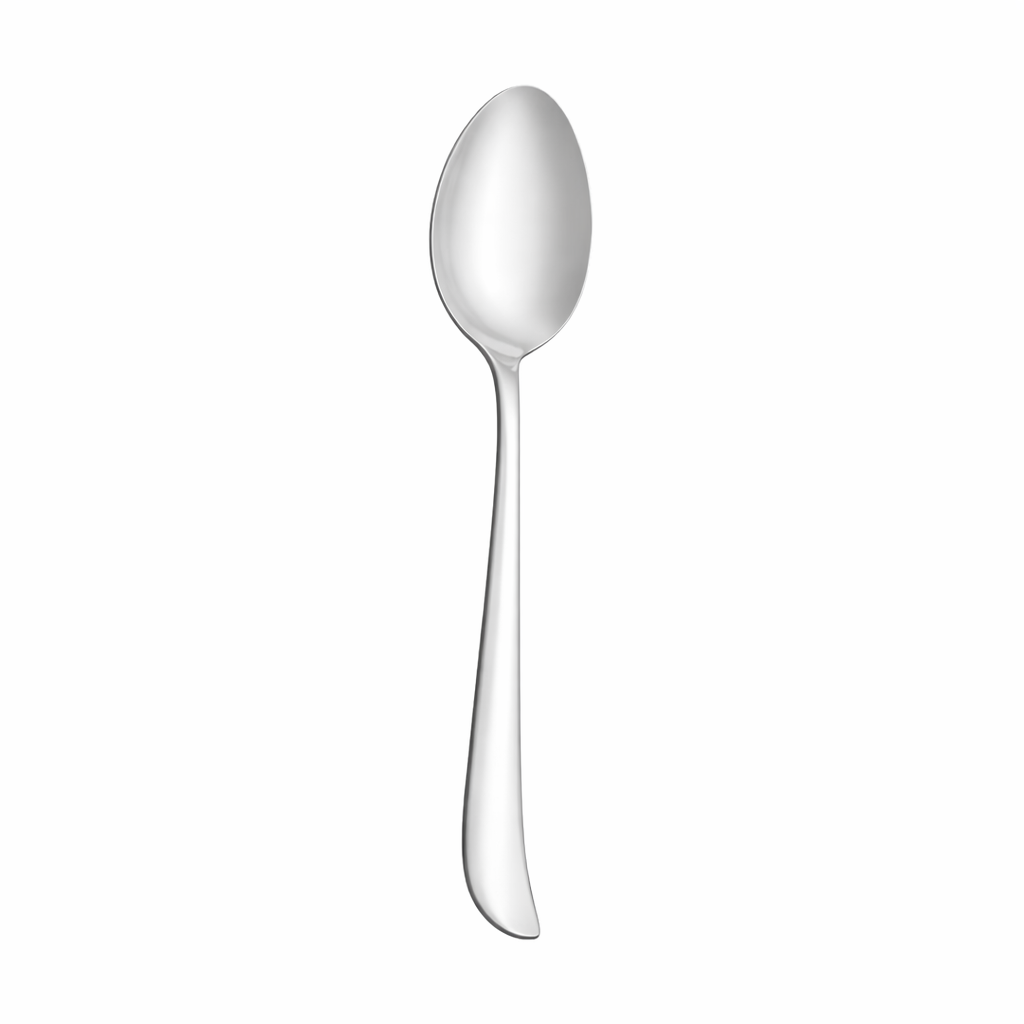 STAINLESS STEEL SPOON LARGE
