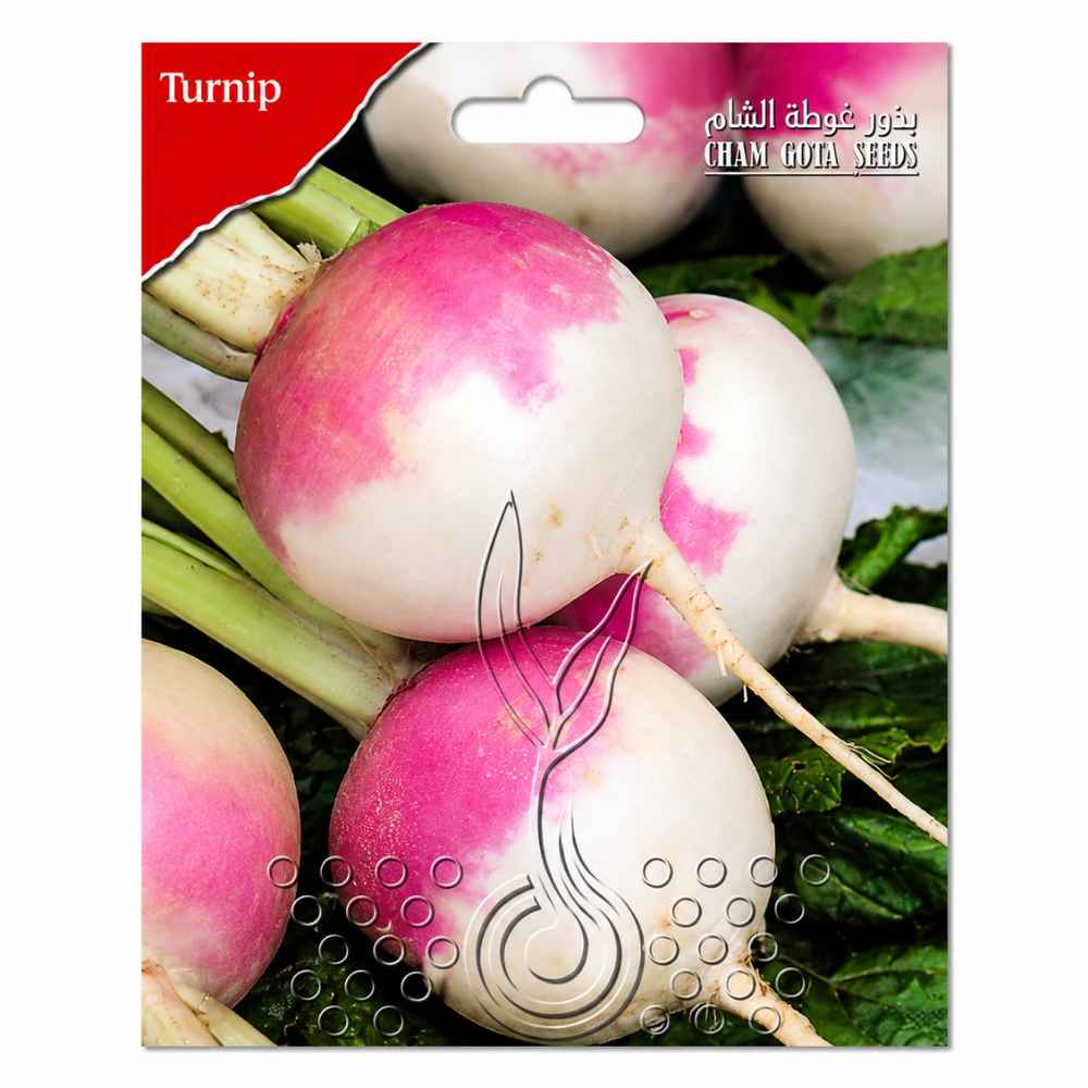 TURNIP SEEDS